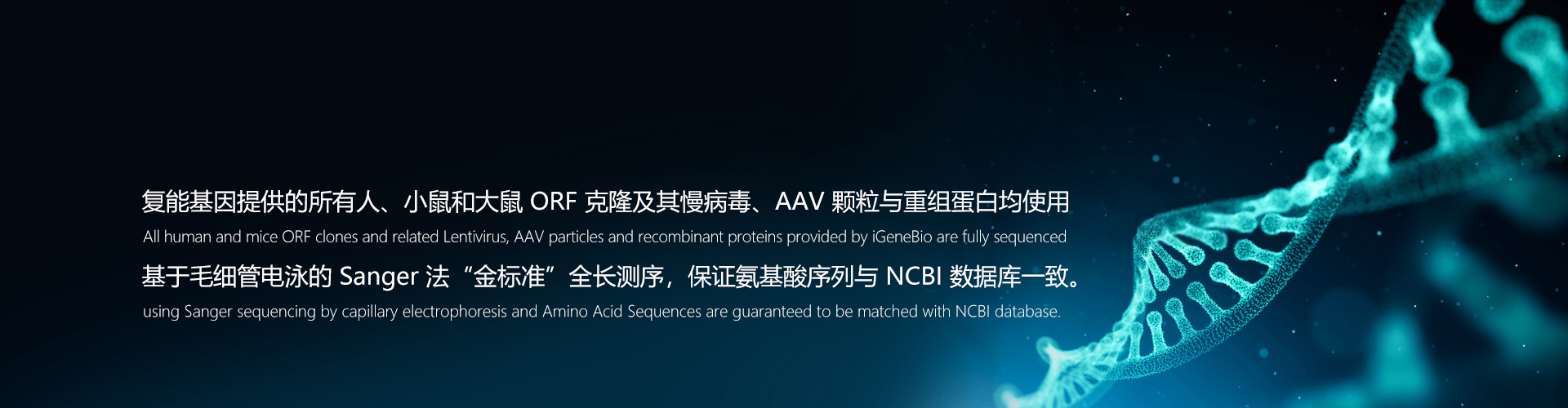 qPCR 产品